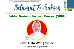 SNBP26-Serli-SW