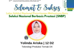 SNBP26-Yolinda-A